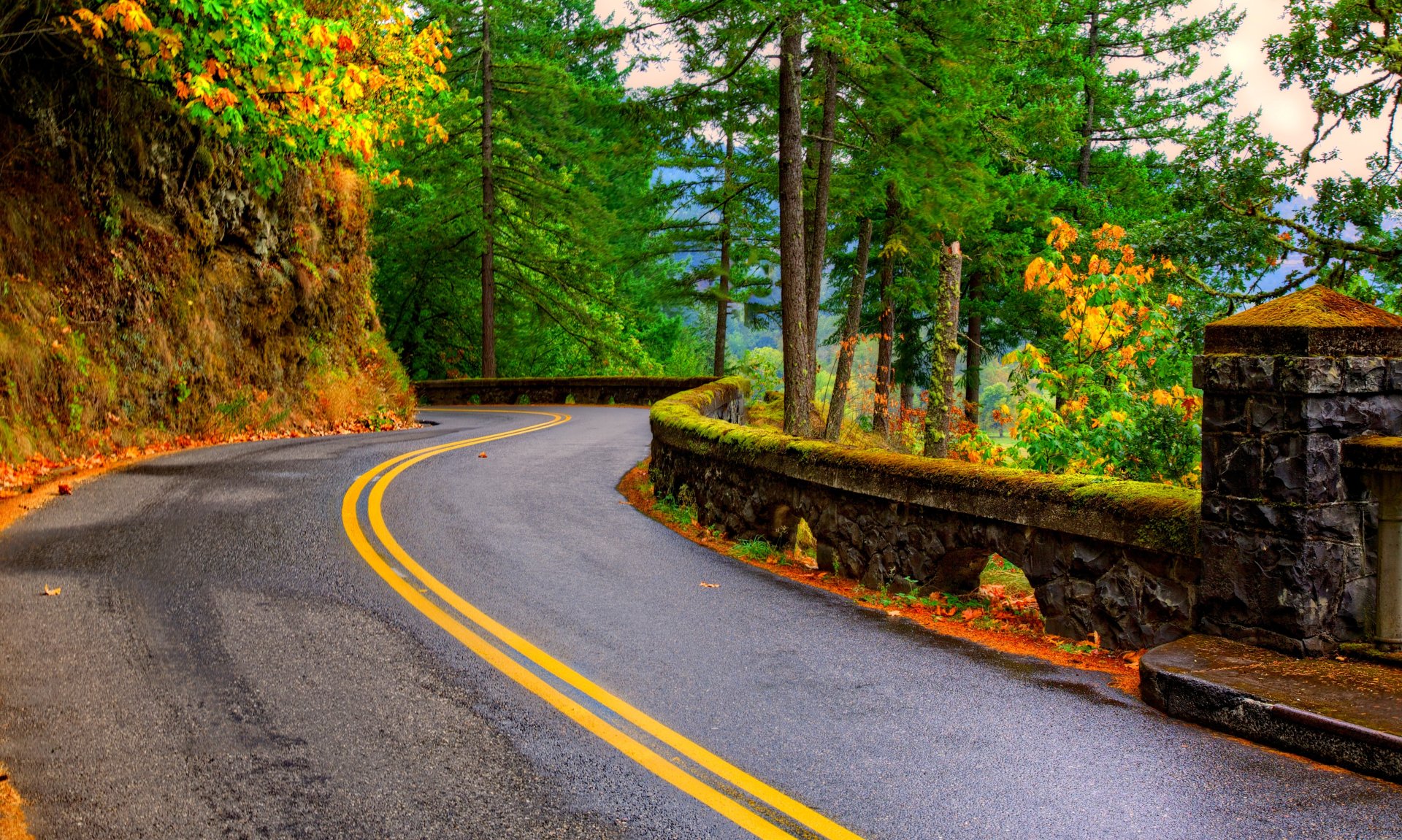 A winding, man-made road curves through a vibrant fall forest, captured in stunning 4K Ultra HD for a crisp PC desktop wallpaper.