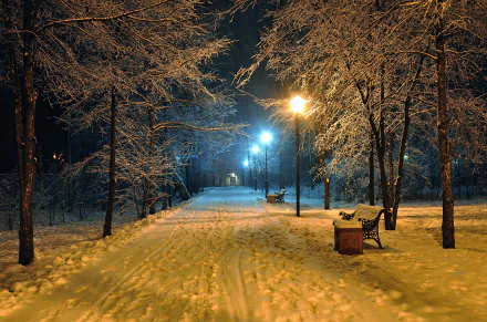 Snow-covered park pathway illuminated by street lights at night, with benches along the trail and trees blanketed in winter, captured in 4K Ultra HD quality.