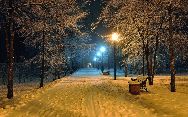 Snow-covered park pathway illuminated by street lights at night, with benches along the trail and trees blanketed in winter, captured in 4K Ultra HD quality.