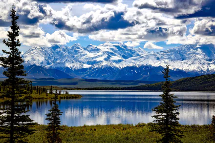 nature Alaska mountain denali national park tree cloud USA lake HD Desktop Wallpaper | Background Image