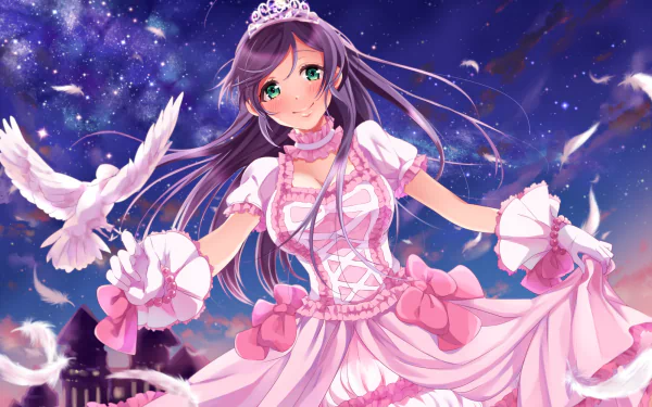 Nozomi Tojo Anime Love Live! HD Desktop Wallpaper | Background Image