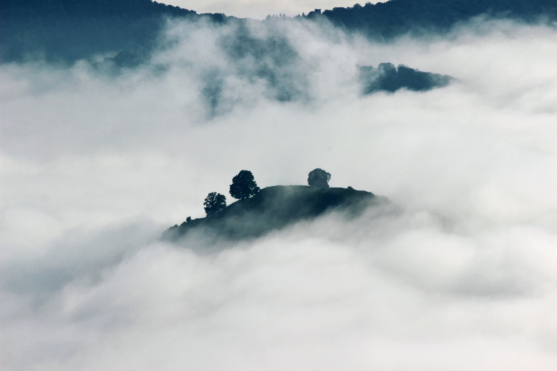 5K Ultra HD PC desktop wallpaper: a solitary hilltop with a few trees rising through dense fog, a serene nature scene.