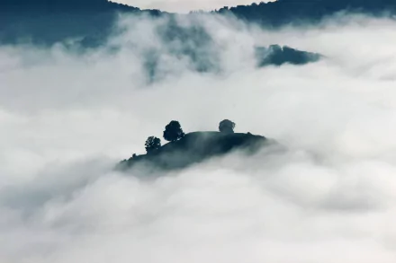 hill nature fog HD Desktop Wallpaper | Background Image
