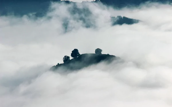 hill nature fog HD Desktop Wallpaper | Background Image
