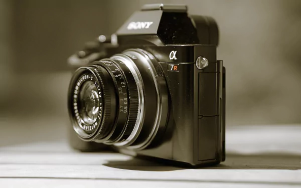 Sony man made camera HD Desktop Wallpaper | Background Image