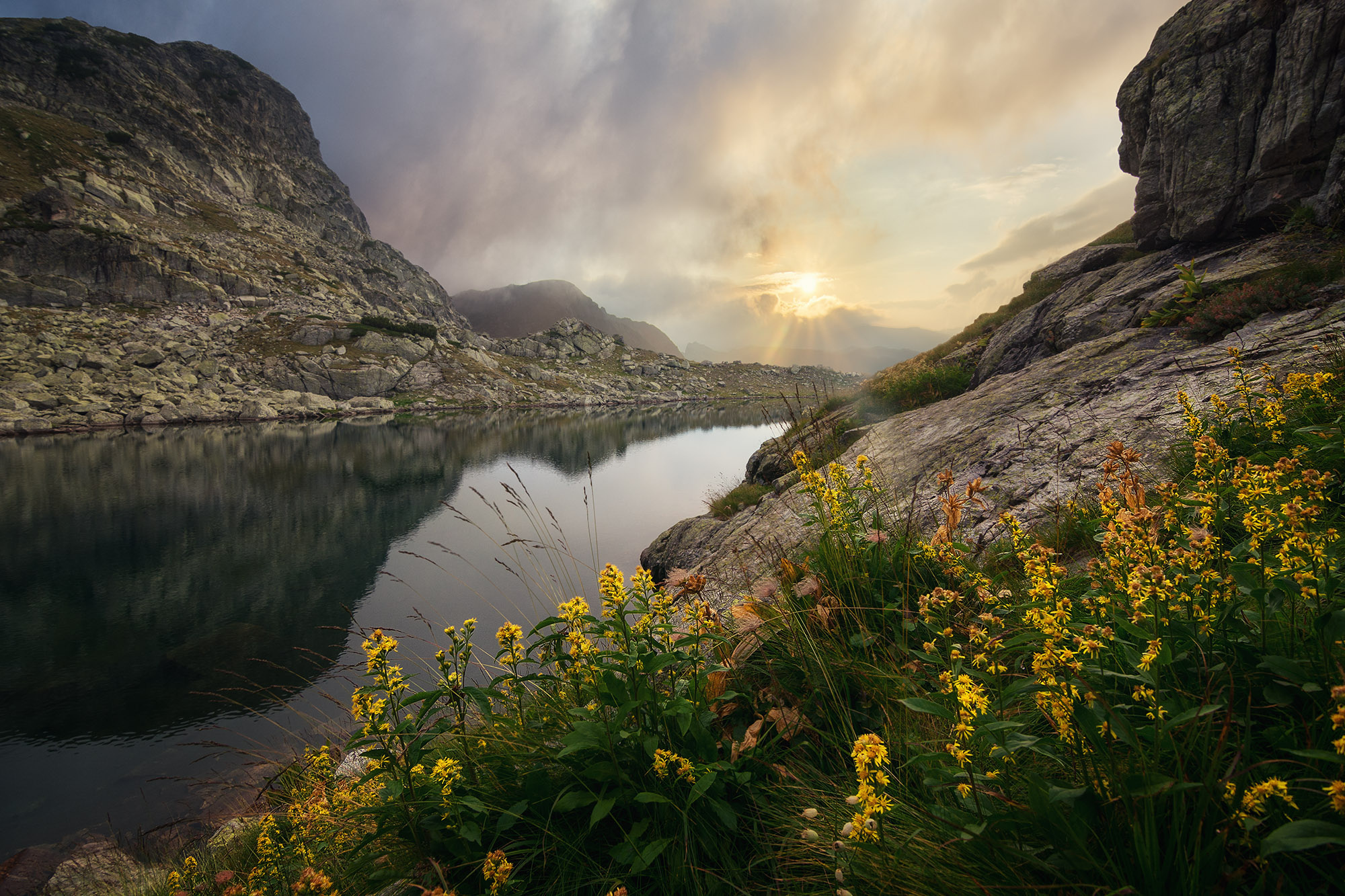 Download Flower Mountain Nature Lake HD Wallpaper