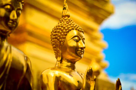 A close-up of a golden Buddha statue against a serene blue sky, symbolizing Thai religious culture. This stunning HD wallpaper captures the essence of devotion and artistry.