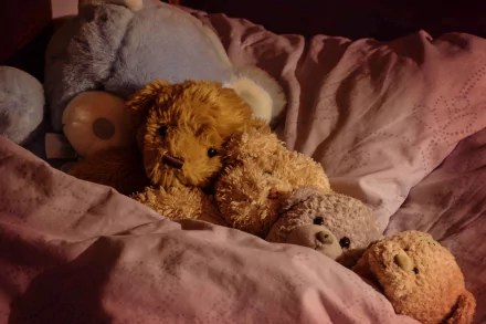 teddy bear man made stuffed animal HD Desktop Wallpaper | Background Image