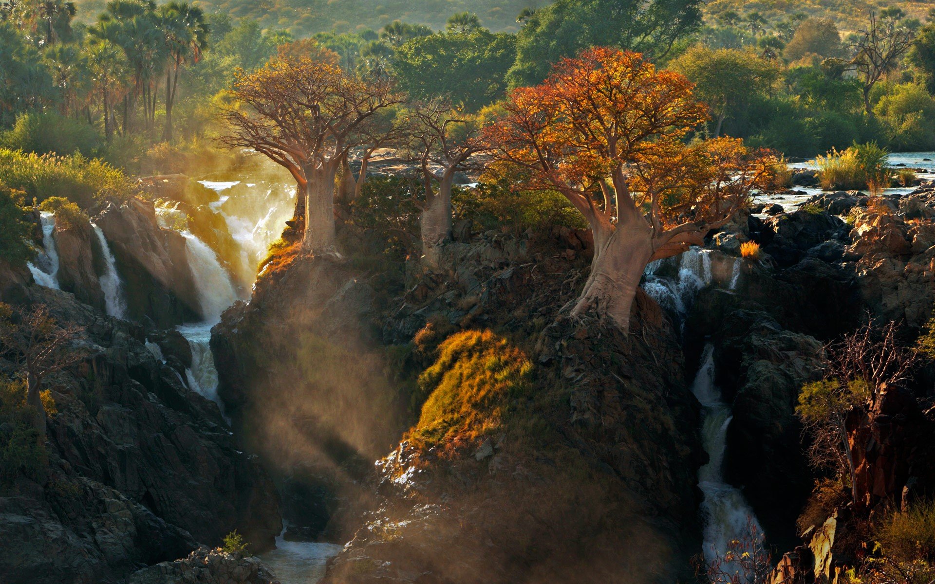 Download Africa Fall Forest Tree Namibia Nature Waterfall HD Wallpaper