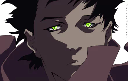 HD PC desktop wallpaper featuring a close-up anime-style portrait with striking green eyes from the series Ergo Proxy.