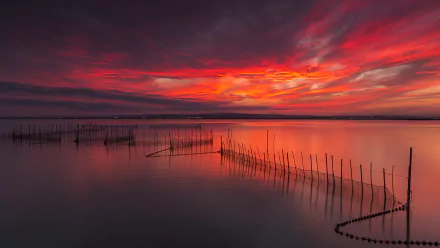 A vibrant sunset casts red and orange hues over a lake, with fishing nets and fences partially submerged, creating a serene nature scene in HD quality.