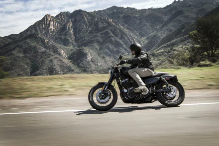  2017 Harley-Davidson Roadster