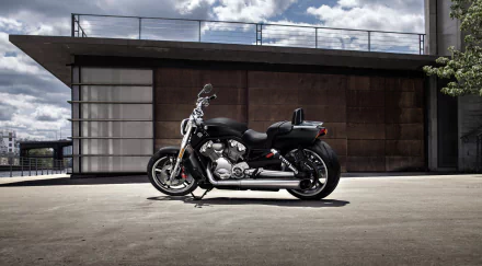  2017 Harley-Davidson V-Rod Muscle