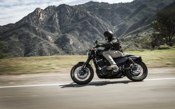  2017 Harley-Davidson Roadster