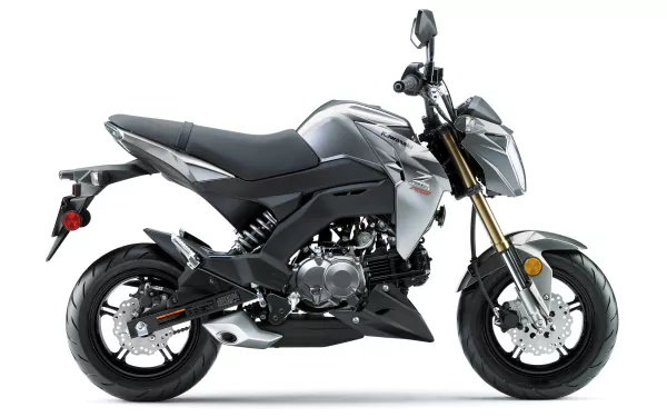  2017 Kawasaki Z125 Pro