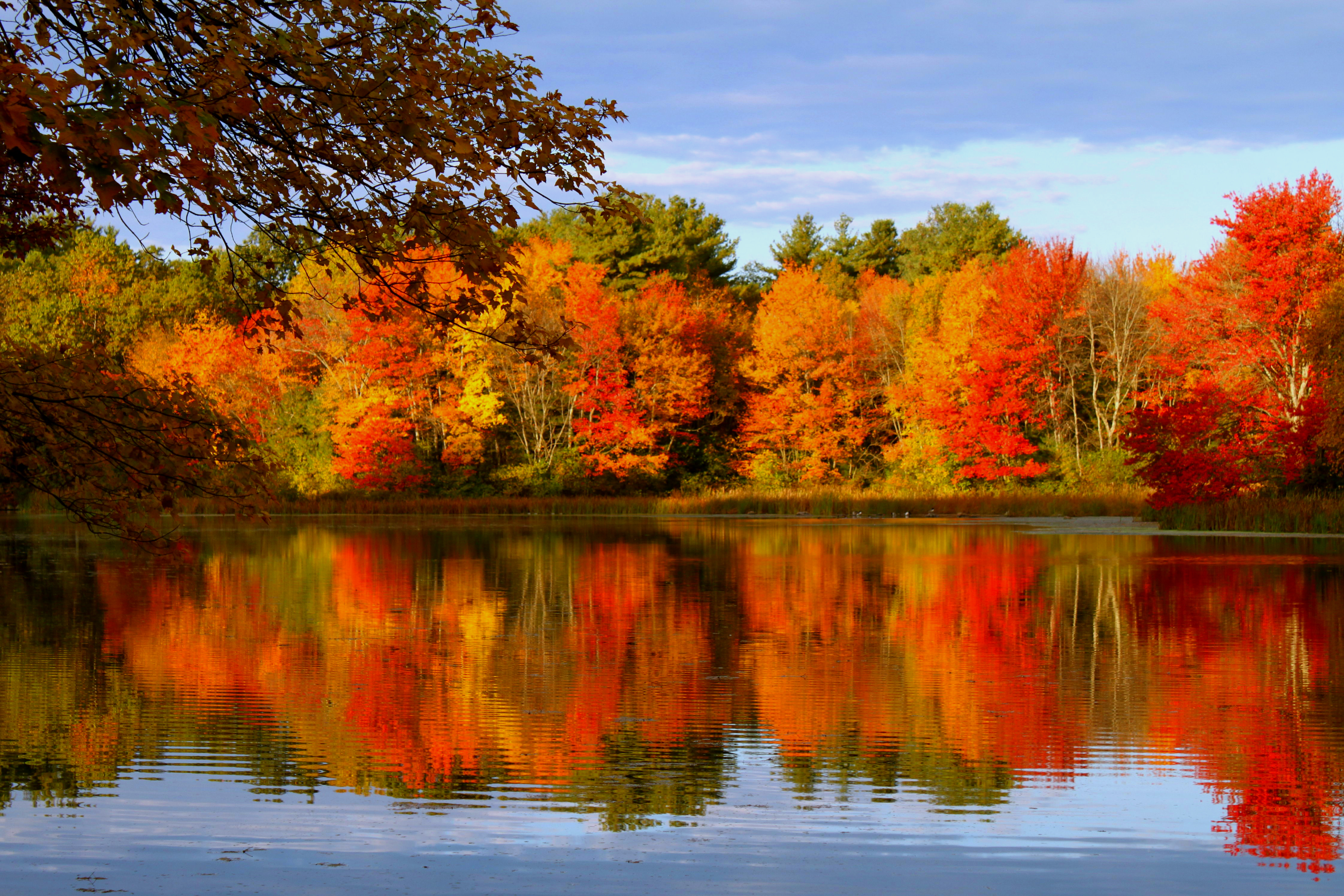 Осенние пейзажи осени. Пейзаж осени. Красивая осень. Природа осень. Яркий осенний пейзаж.