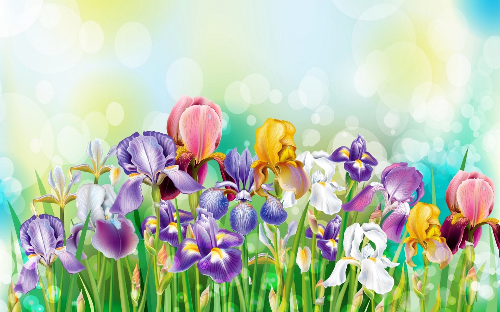 Download Iris Spring Grass Colorful Colors Artistic Flower HD Wallpaper
