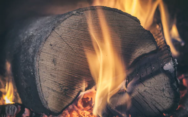 flame log photography fire HD Desktop Wallpaper | Background Image