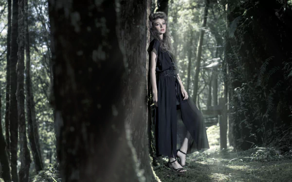 black dress sunbeam forest model woman mood HD Desktop Wallpaper | Background Image