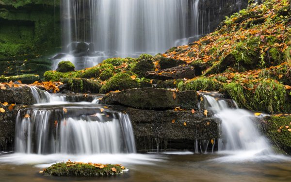 Earth Waterfall Waterfalls Nature Moss HD Wallpaper | Background Image