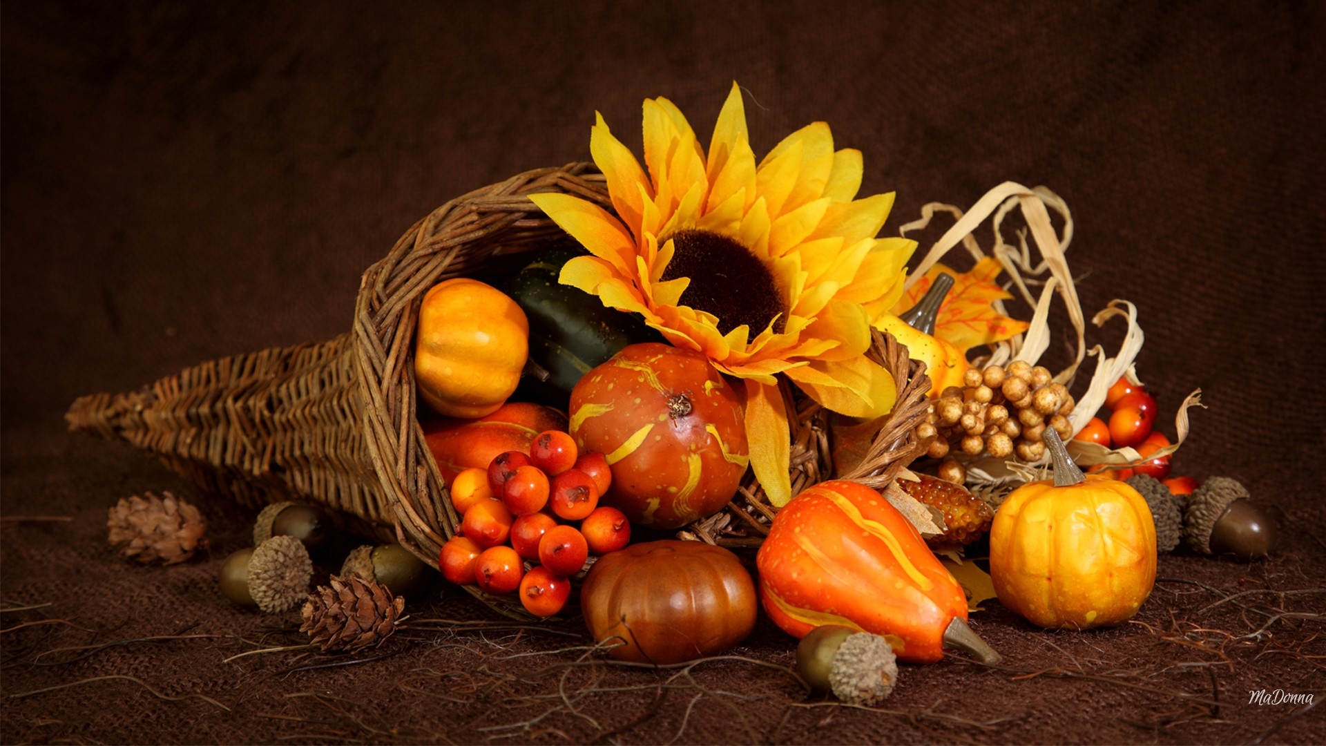 Download Yellow Flower Nut Berry Gourd Sunflower Wicker Fall ...