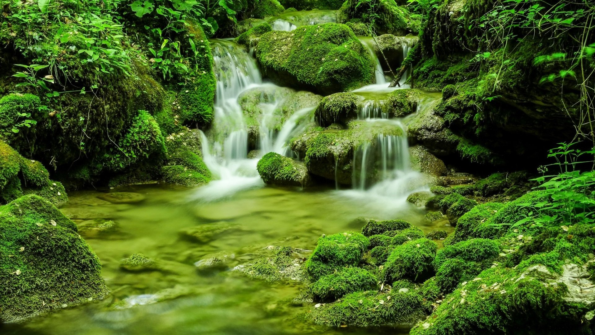 Download Waterfall Moss Green Nature Stream HD Wallpaper