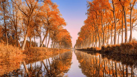 reflection fall tree tree-lined nature river HD Desktop Wallpaper | Background Image