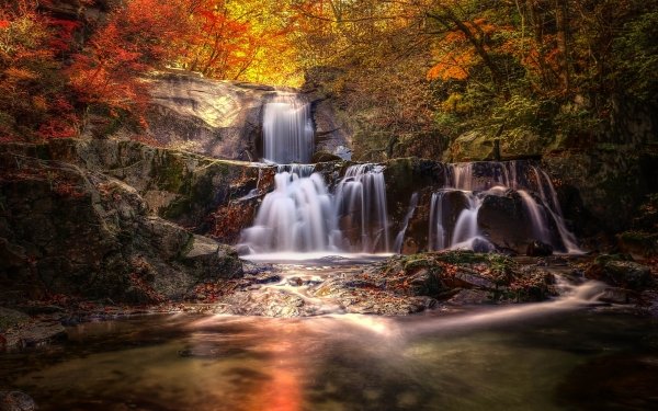 Earth Waterfall Waterfalls Tree Forest Fall HD Wallpaper | Background Image