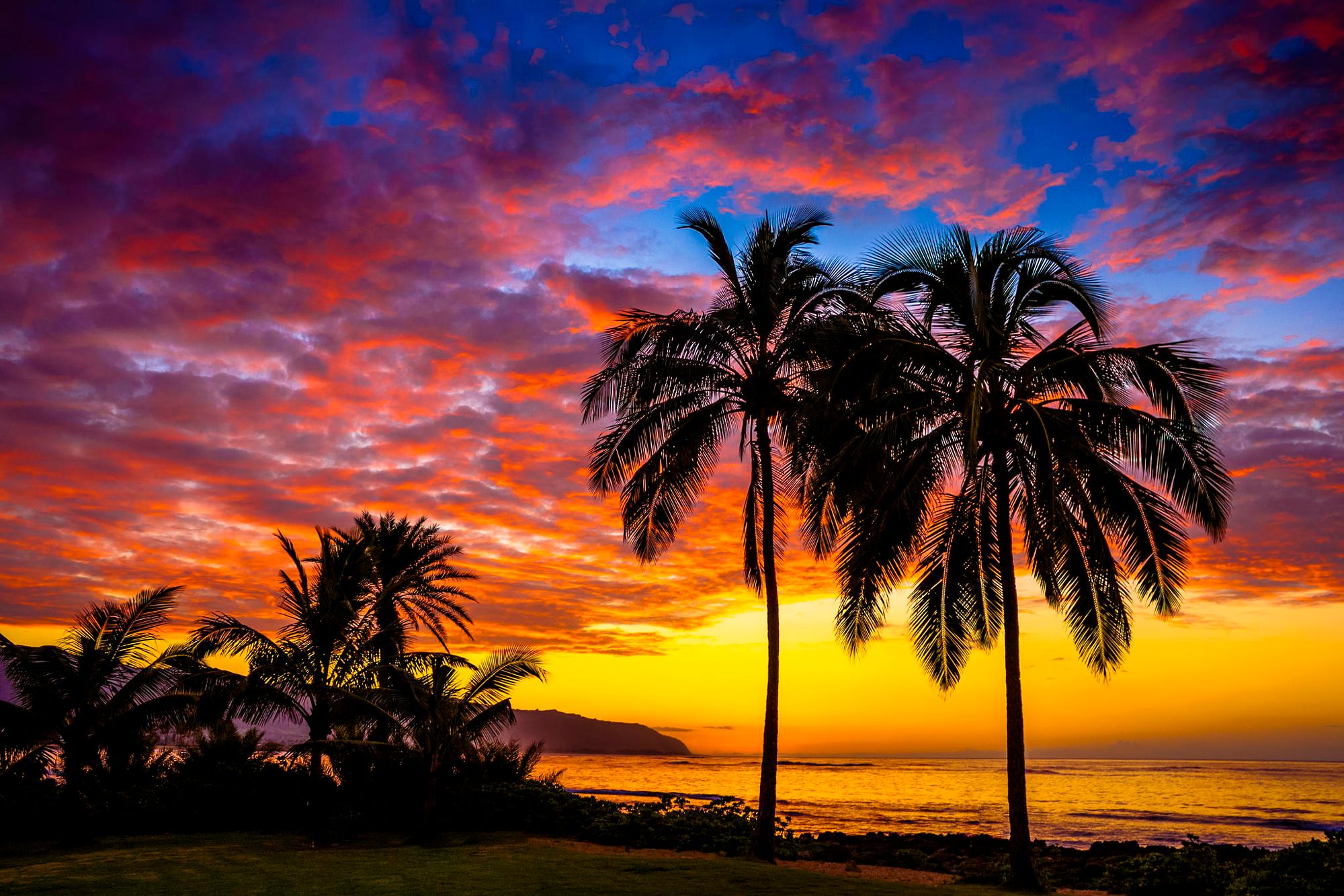 Tropical Sunset HD Wallpaper | Background Image | 2000x1333