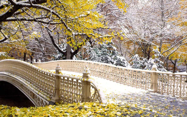 HD desktop wallpaper of Bow Bridge in Manhattan, New York, during fall. Snow covers the bridge and trees, with yellow leaves adding vibrant contrast.
