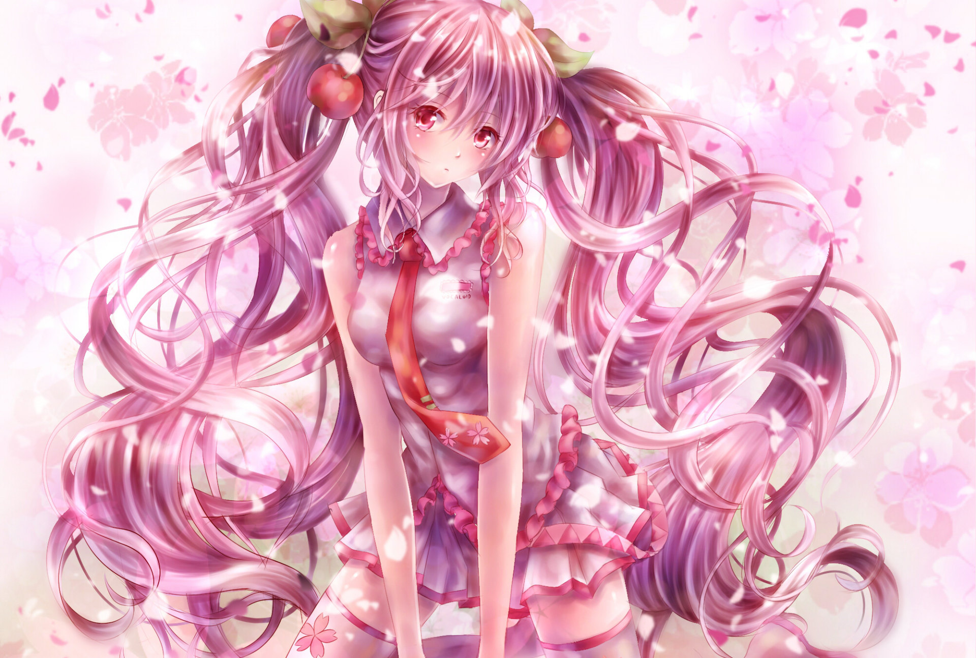 Download Sakura Miku Anime Vocaloid HD Wallpaper by Daphne Zhang