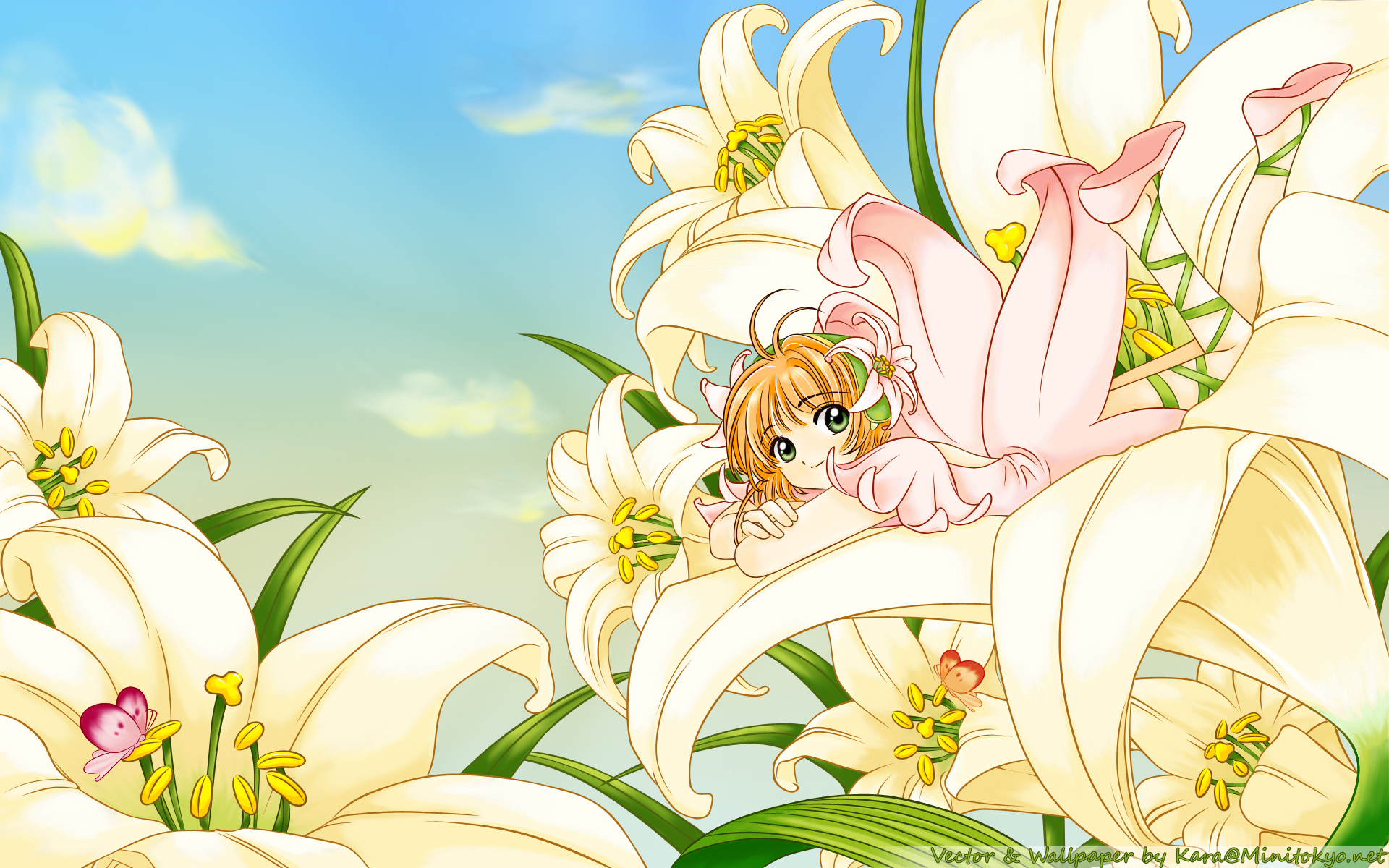 1100 Anime Cardcaptor Sakura HD Wallpapers and Backgrounds