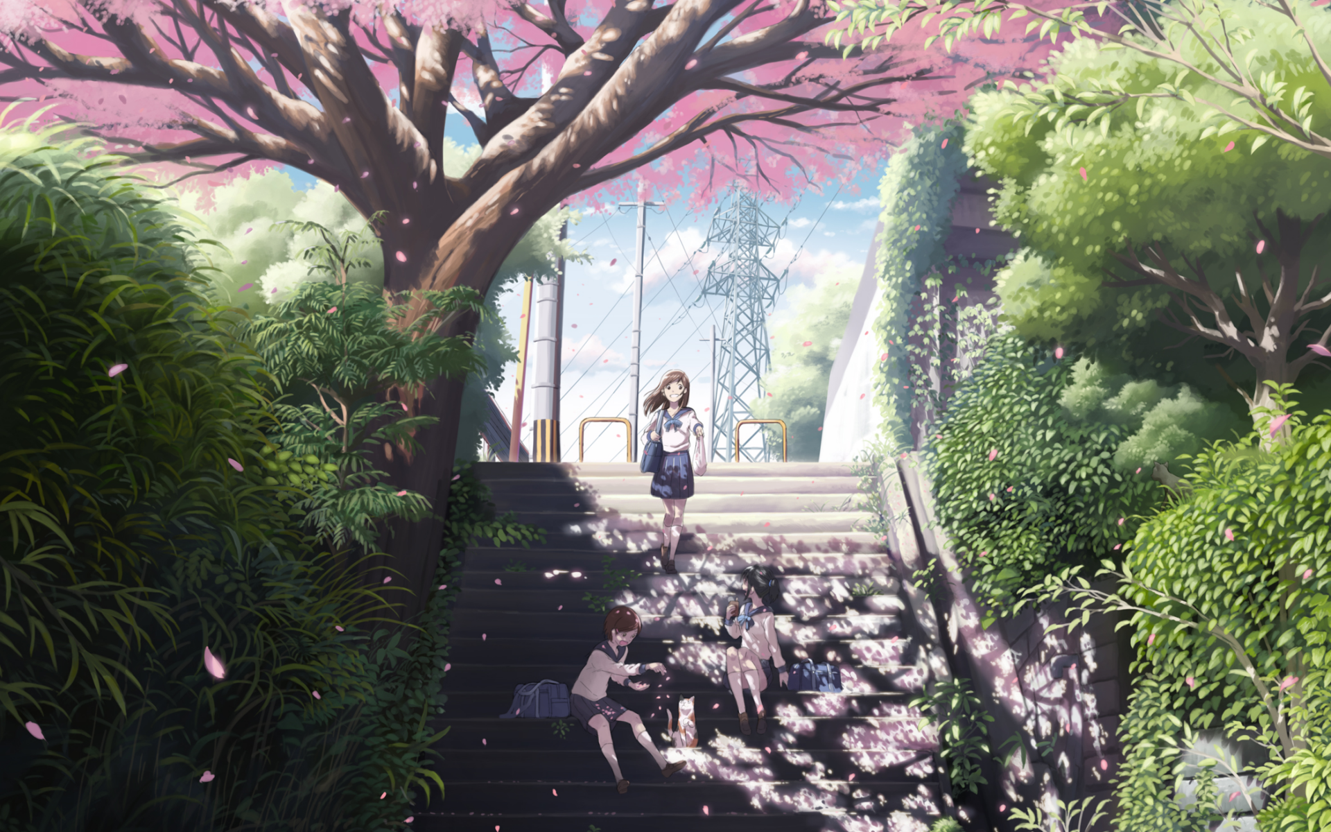 HD anime-style original desktop wallpaper depicting two girls under a blooming cherry blossom tree on a sunny day with petals scattered on stairs and lush greenery.