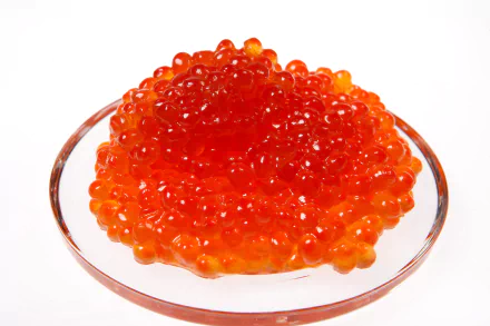 seafood food caviar HD Desktop Wallpaper | Background Image