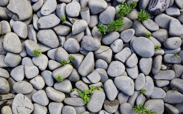 nature stone HD Desktop Wallpaper | Background Image