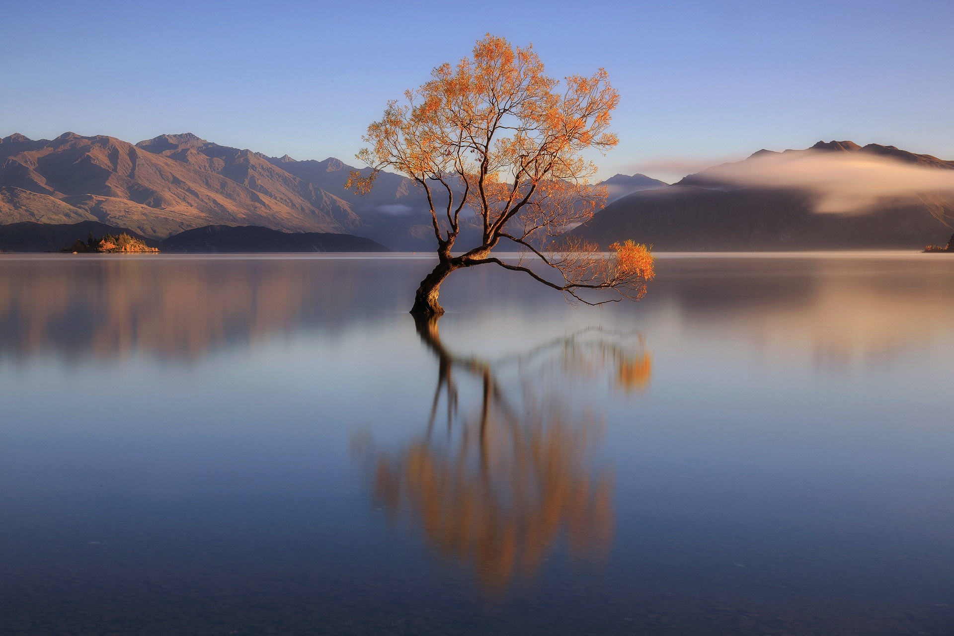 Download Mountain Lake Reflection Lonely Tree Nature Tree Hd Wallpaper