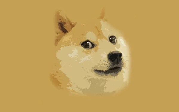 A humorous HD desktop wallpaper featuring a Shiba Inu, capturing the iconic Doge expression against a warm, golden background.