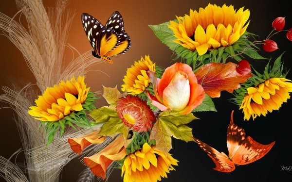 Artistic Fall Flower Butterfly Yellow Flower HD Wallpaper | Background Image