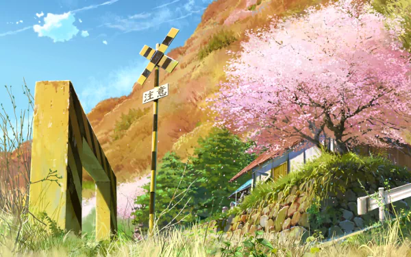 Anime Children Who Chase Lost Voices HD Desktop Wallpaper | Background Image