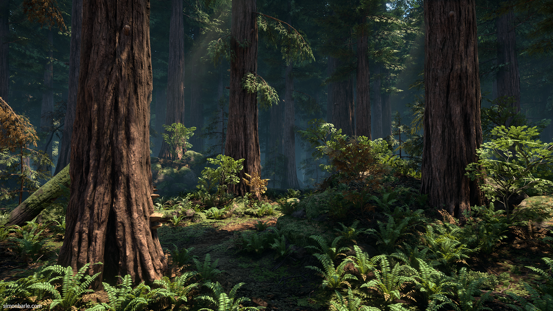 1800x1013 Redwood Forest by Simon Barle Wallpaper Background Image. 