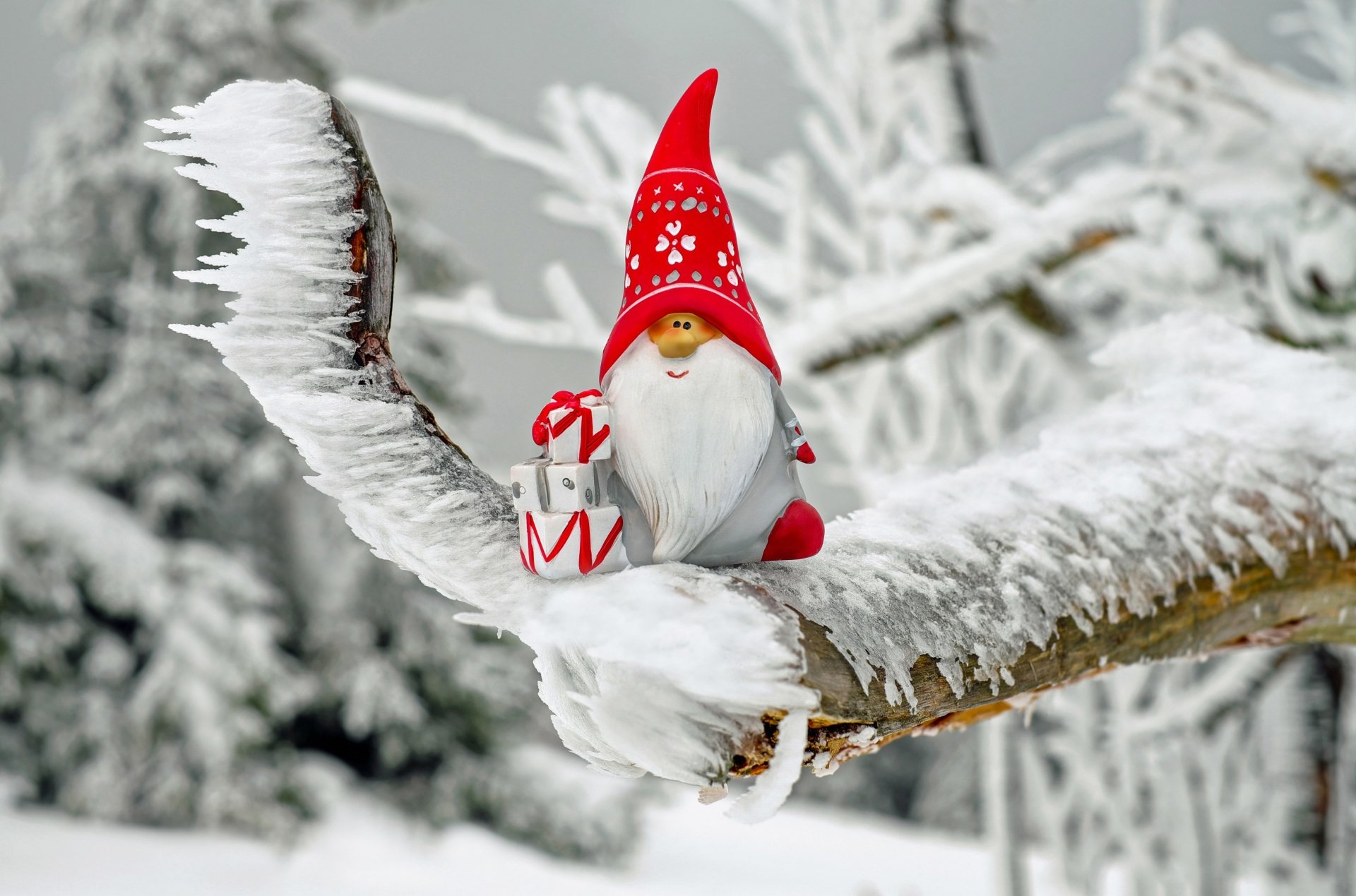 HD desktop wallpaper featuring a festive gnome ornament with a red hat and a gift, perched on a snow-covered, icy branch, set against a wintry forest background. Holiday and Christmas theme.