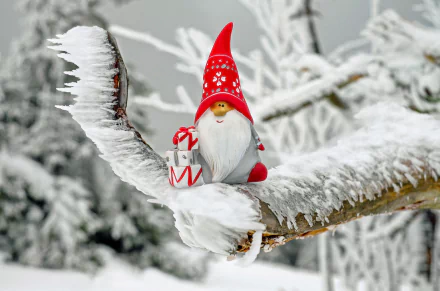 HD desktop wallpaper featuring a festive gnome ornament with a red hat and a gift, perched on a snow-covered, icy branch, set against a wintry forest background. Holiday and Christmas theme.