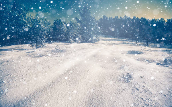 Winter nature scene with snow-covered grounds and trees, under a teal sky. Snowflakes fall gently. HD desktop wallpaper and background.
