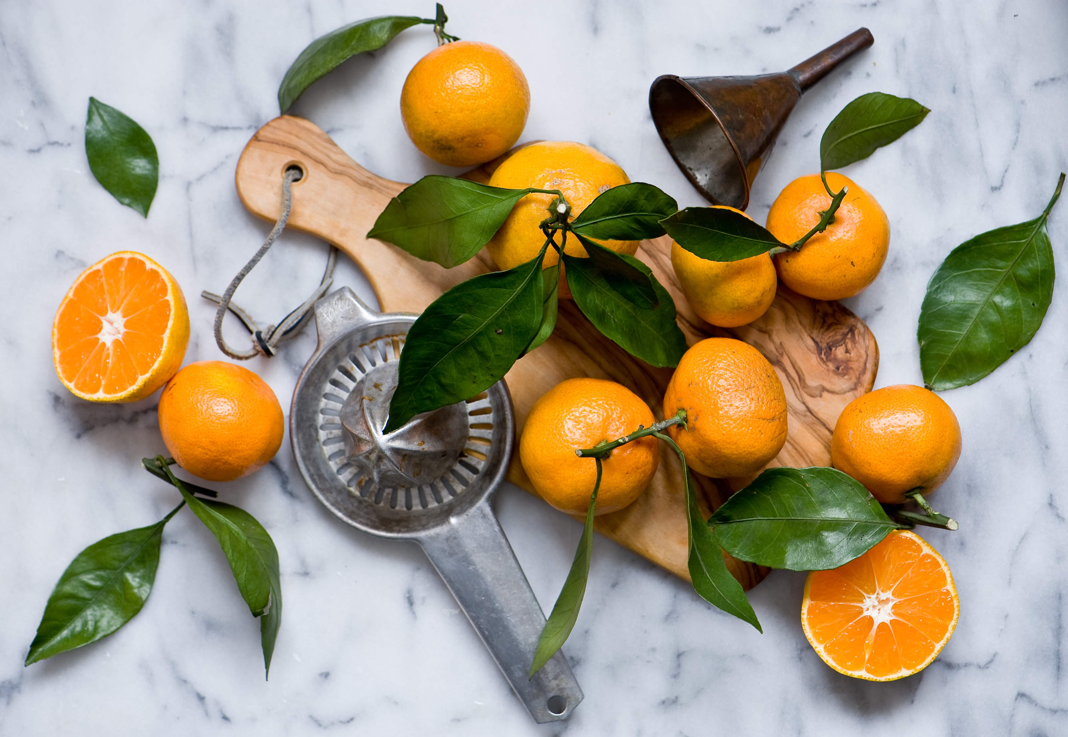 День апельсина и лимона картинки. Цитрус мандарин Mandarine. Апельсин и лимон. Натюрморт с апельсинами. Апельсины с листом.