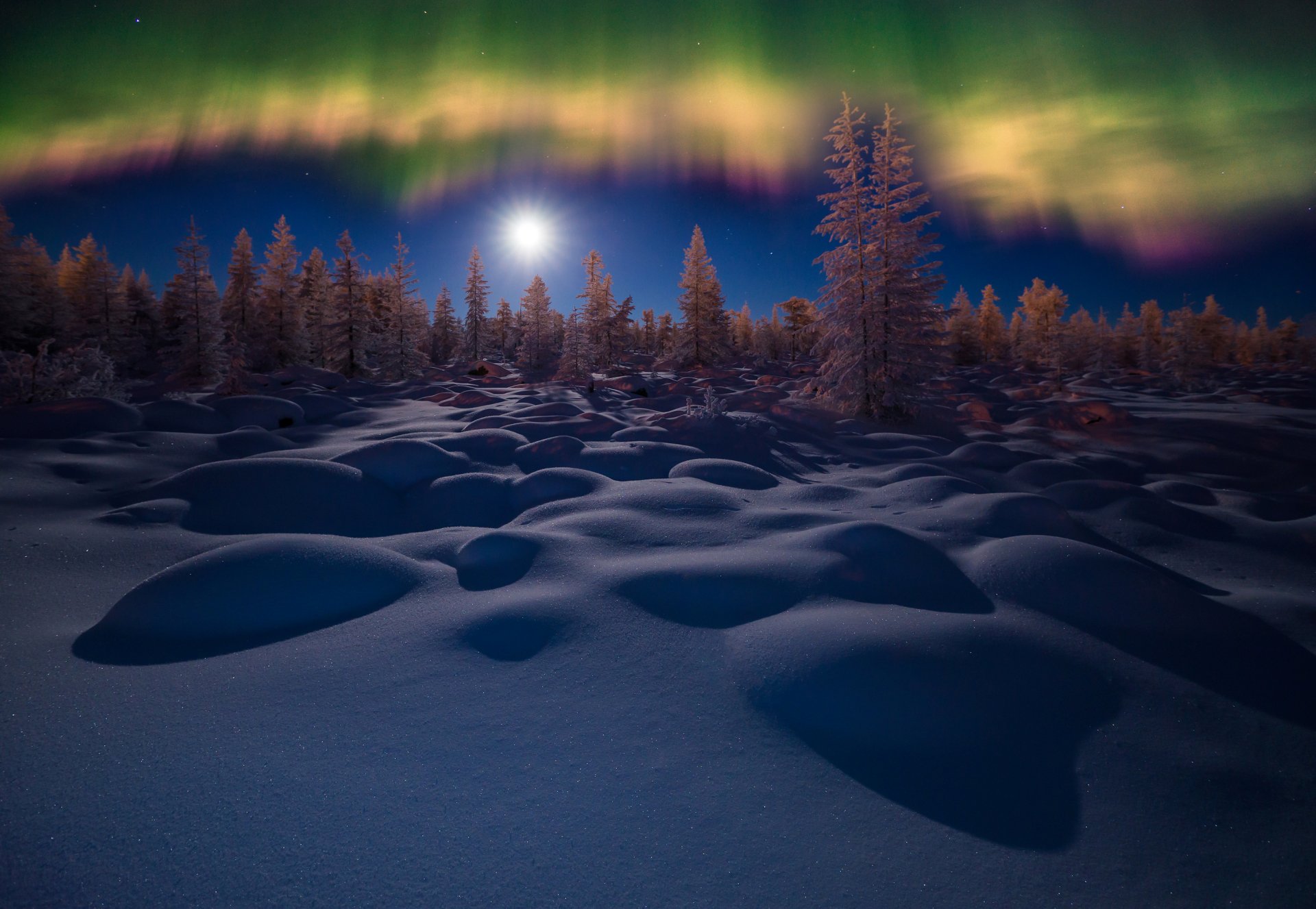 A winter night HD desktop wallpaper featuring snow-covered ground, a forest of trees, and vibrant aurora borealis lighting up the night sky.