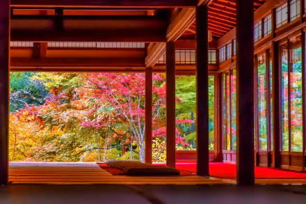 HD wallpaper showcasing vibrant fall foliage seen through the wooden frames of a traditional Japanese structure, highlighting the serene and colorful ambiance of Japan in autumn.