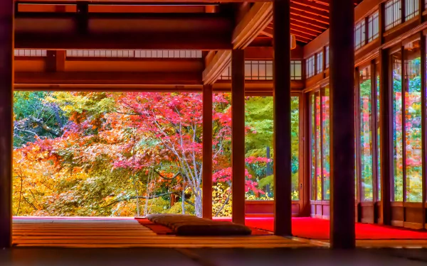 HD wallpaper showcasing vibrant fall foliage seen through the wooden frames of a traditional Japanese structure, highlighting the serene and colorful ambiance of Japan in autumn.