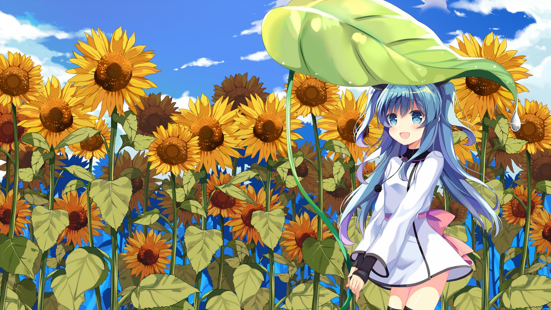 Image tagged with sora no method celestial method cute on Tumblr