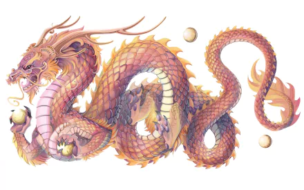 A high-definition desktop wallpaper featuring a detailed oriental fantasy Chinese dragon on a white background, showcasing its intricate scales and fierce expression.