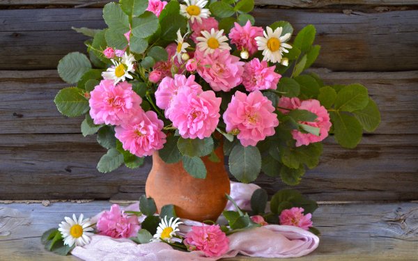 Photography Still Life Flower Vase Rose Pink Flower White Flower HD Wallpaper | Background Image